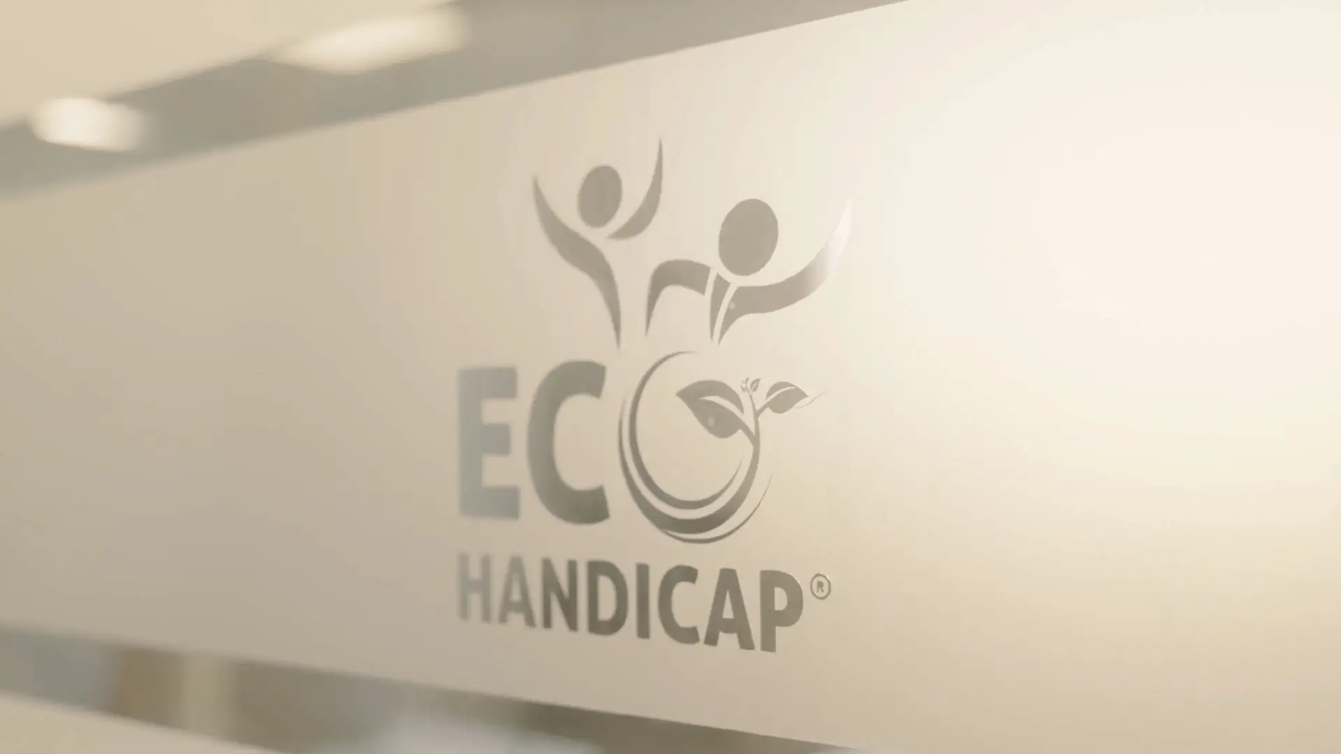 présenter l'article sur éco -handicap